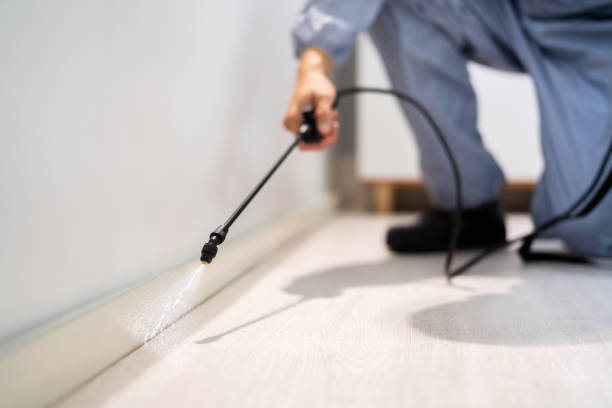 Bed Bug Pre-Treatment Preparation Assessment in Tome