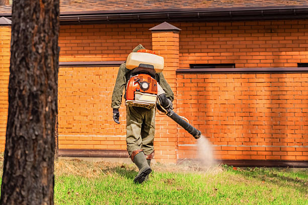 Bed Bug Clearance Verification and Documentation in Tome